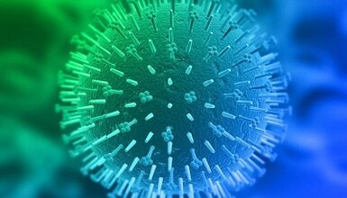 cesty infekce lidským papilomavirem