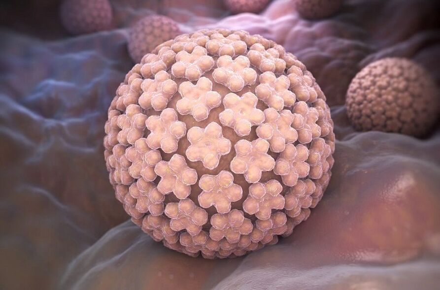 lidský papilomavirus způsobující bradavice